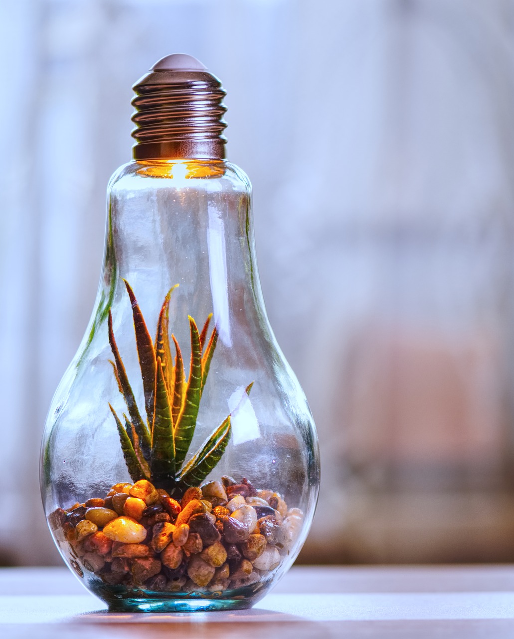 environmental protection, nature, light bulb-4158658.jpg